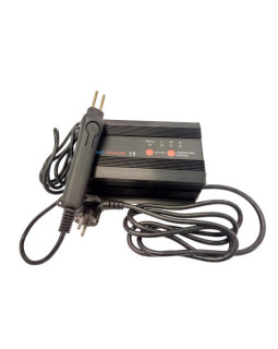 Термостеплер для ремонту пластикових деталей TRISCO WS-303